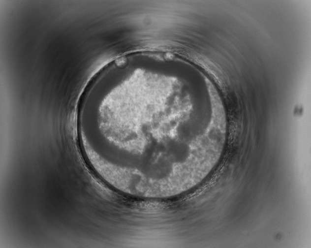 X0000103901079200810101240