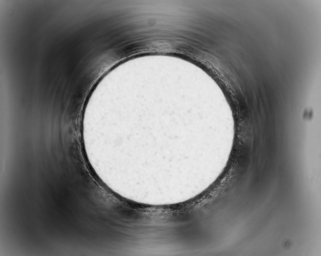 X0000103901081200810101240