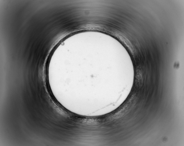 X0000103901082200810101240