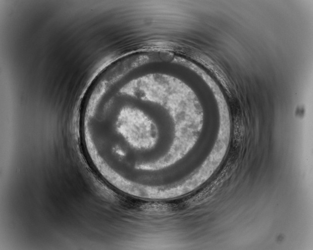 X0000103901083200810101240