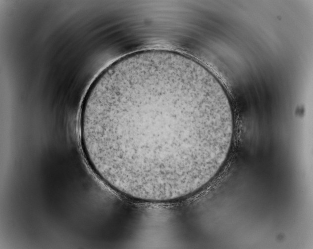 X0000103901084200810101240