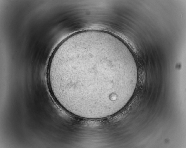 X0000103901086200810101240