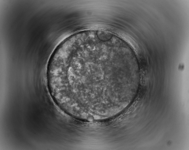 X0000103901087200810101240