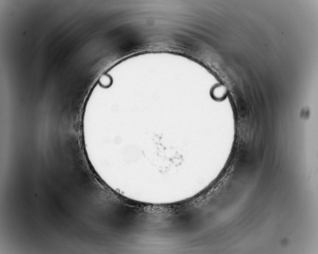 X0000103901089200810101240