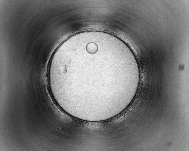 X0000103901090200810101240