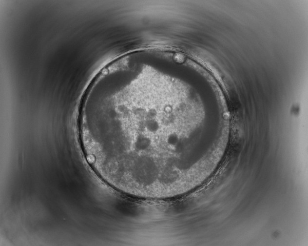 X0000103901091200810101240