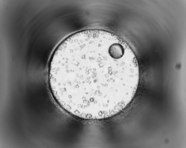 X0000103901092200810101240