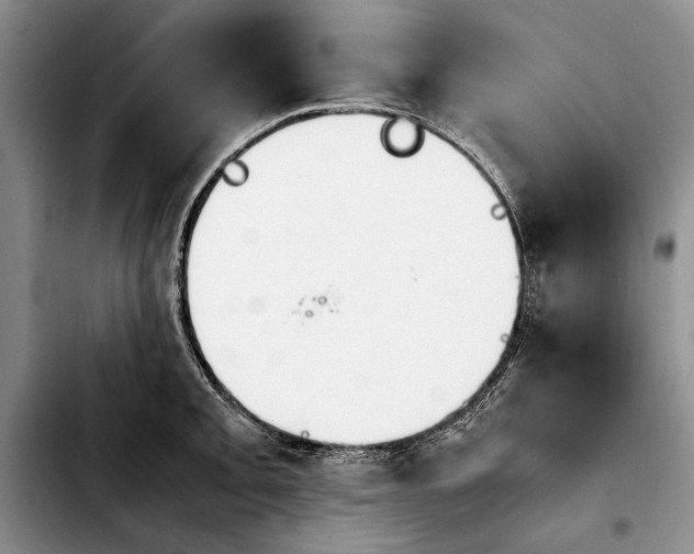 X0000103901093200810101240