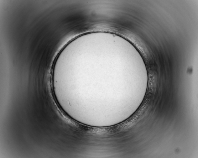 X0000103901094200810101240