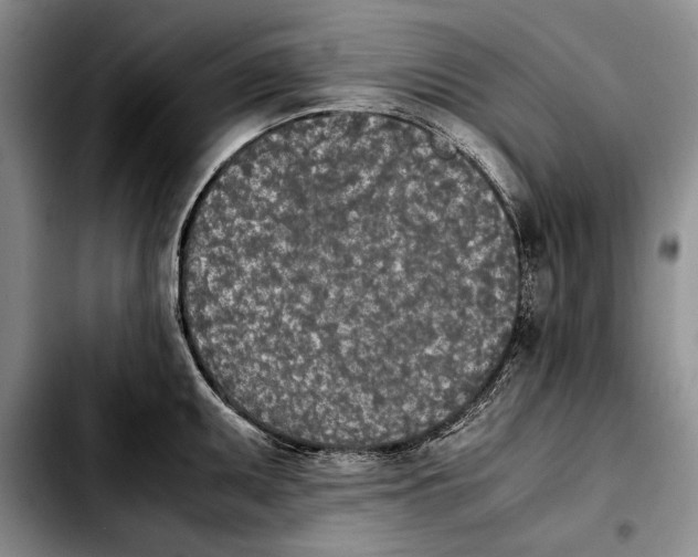 X0000103901095200810101240