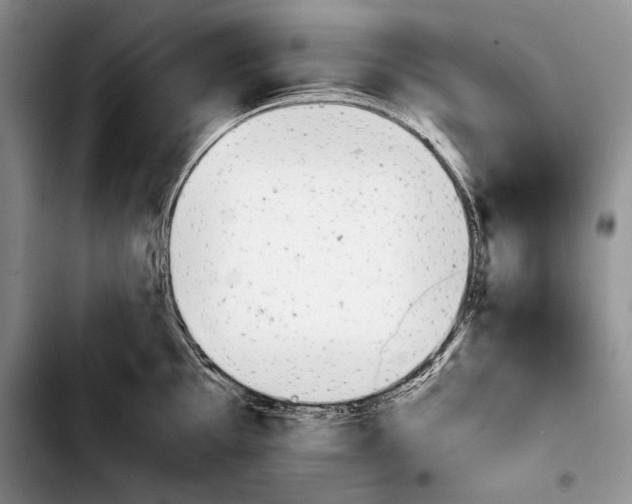 X0000103901097200810101240