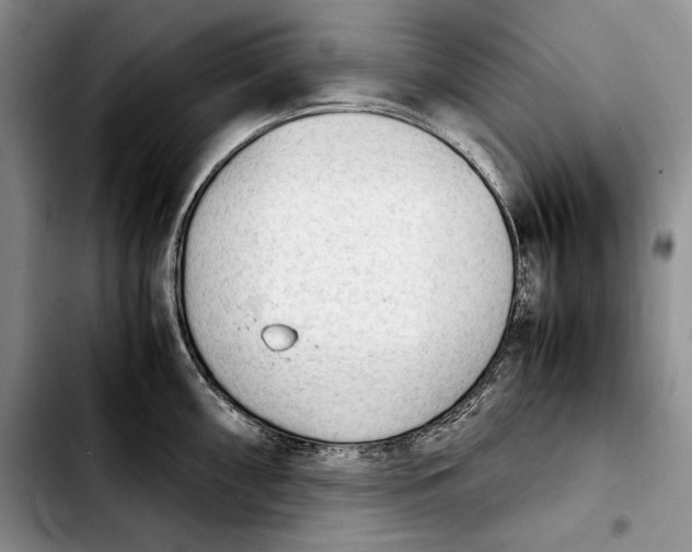 X0000103901098200810101240