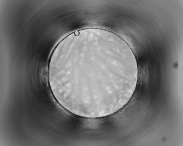 X0000103901100200810101240