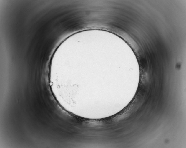 X0000103901102200810101240