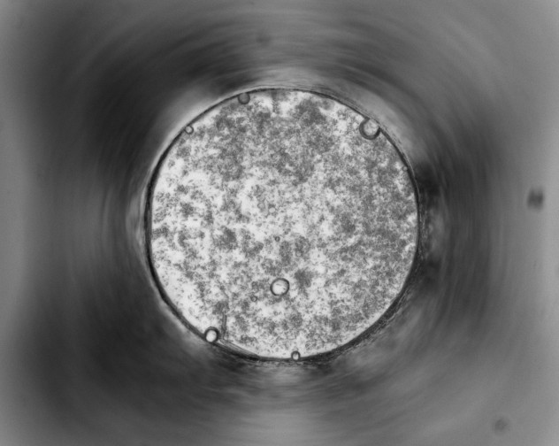 X0000103901103200810101240