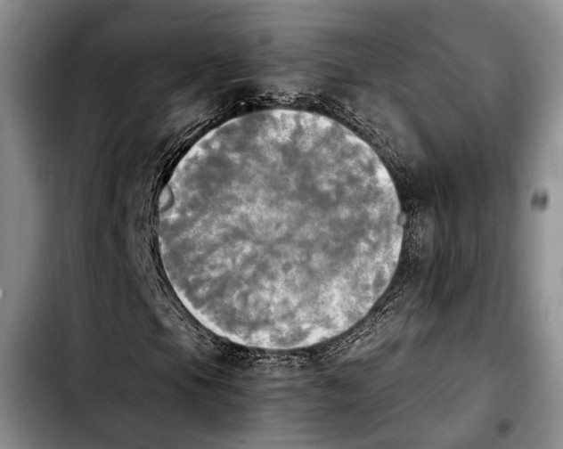 X0000103901105200810101239