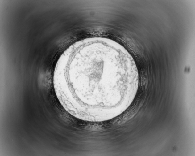 X0000103901106200810101239