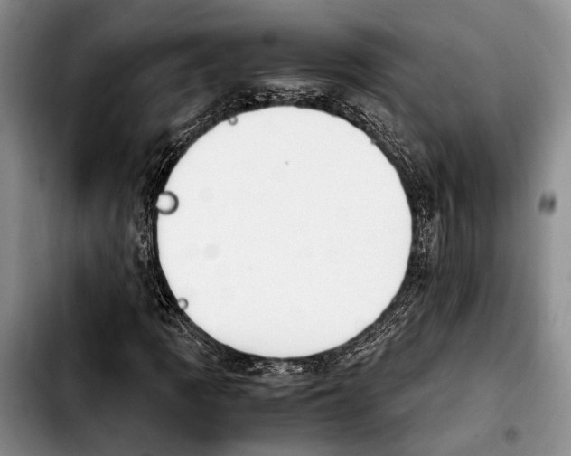 X0000103901109200810101239