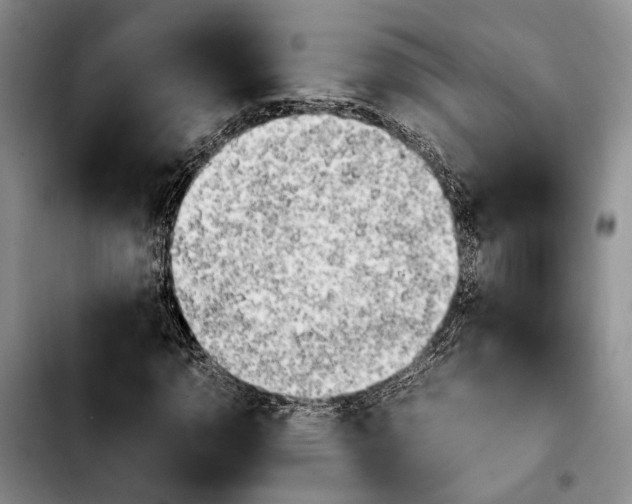 X0000103901110200810101239