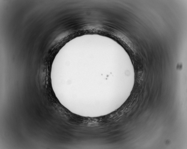 X0000103901111200810101239