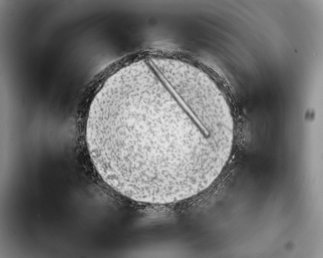 X0000103901112200810101239