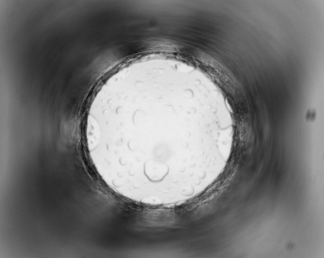 X0000103901113200810101239