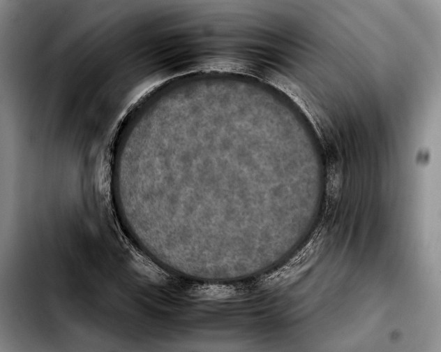 X0000103901115200810101239