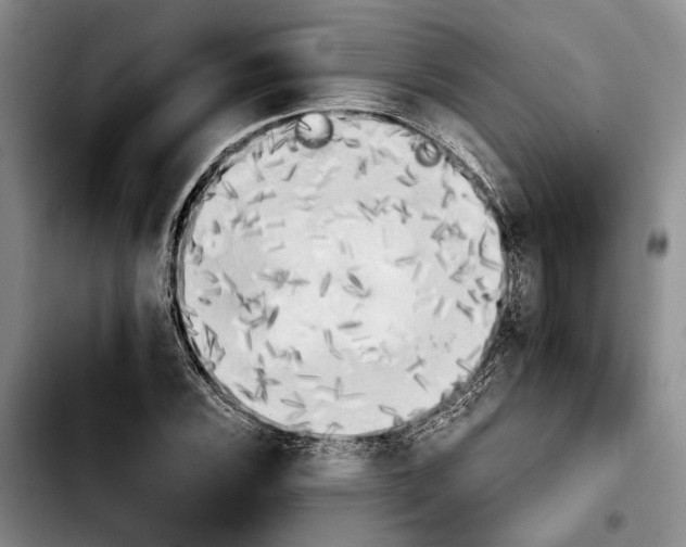 X0000103901116200810101239