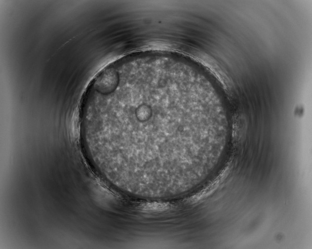 X0000103901117200810101239