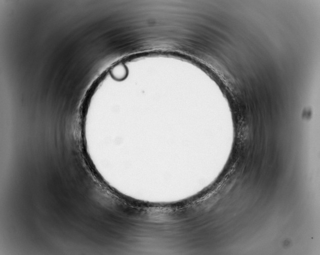 X0000103901118200810101239