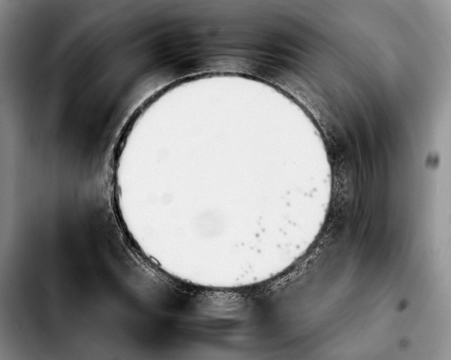 X0000103901119200810101239