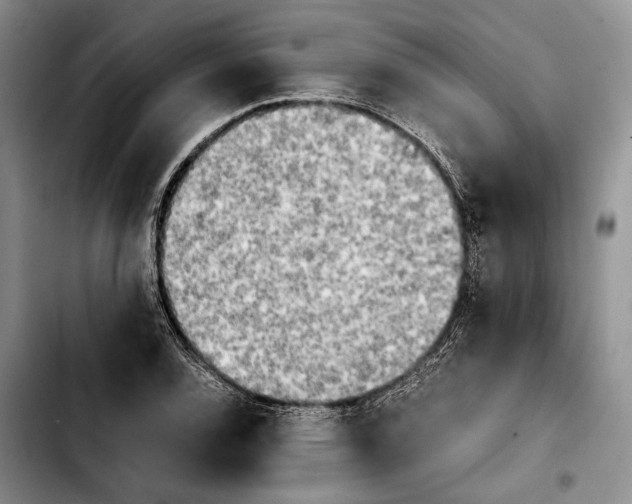 X0000103901120200810101239