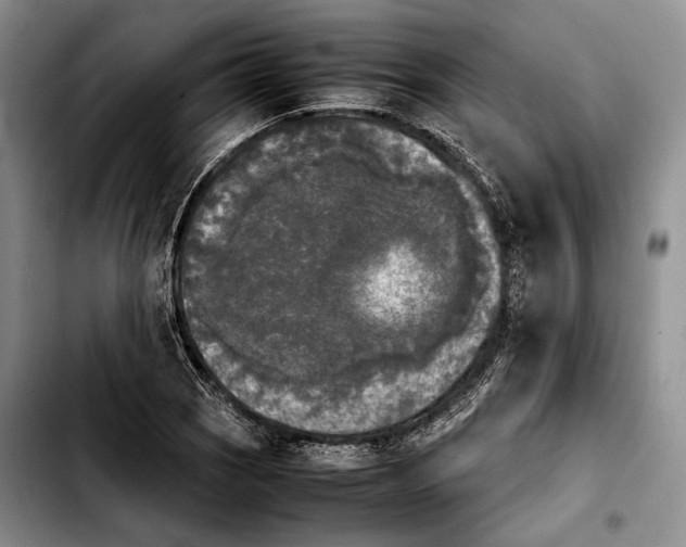 X0000103901121200810101239