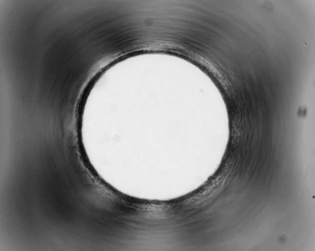 X0000103901122200810101239