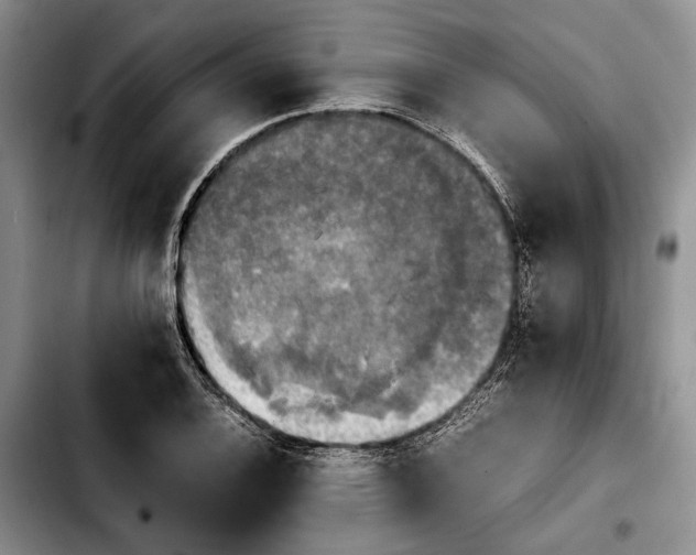 X0000103901124200810101239