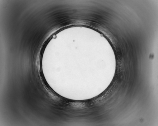 X0000103901127200810101239