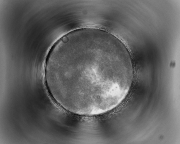 X0000103901128200810101239