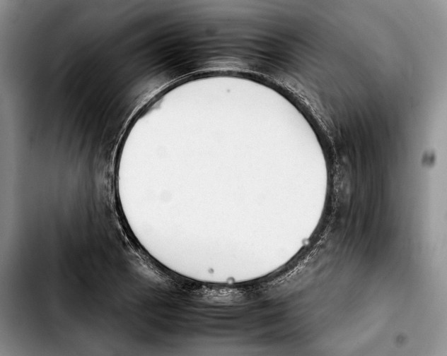 X0000103901129200810101239