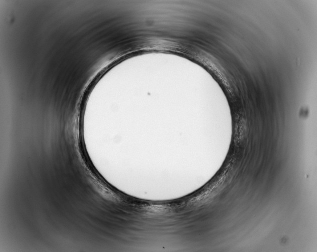 X0000103901130200810101239