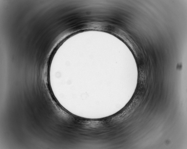 X0000103901131200810101239