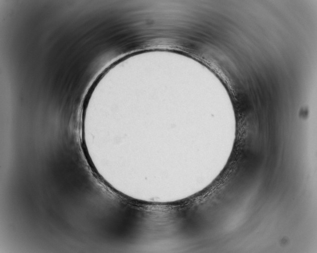 X0000103901132200810101239