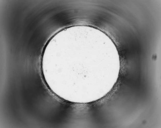 X0000103901134200810101239