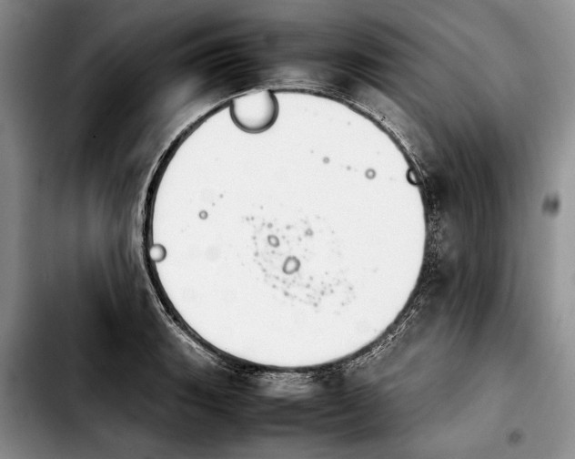 X0000103901135200810101239