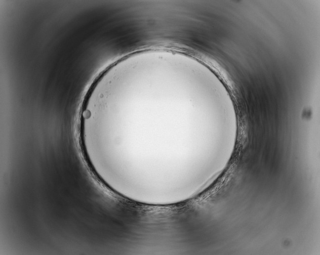 X0000103901136200810101239