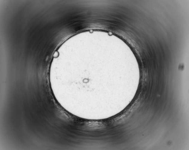 X0000103901137200810101239