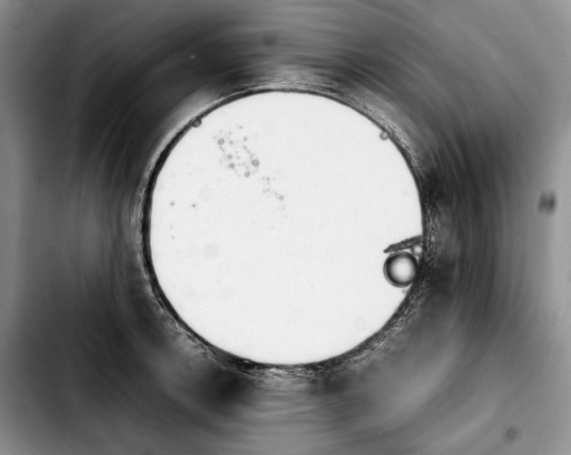 X0000103901138200810101239