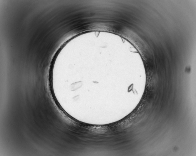 X0000103901139200810101239