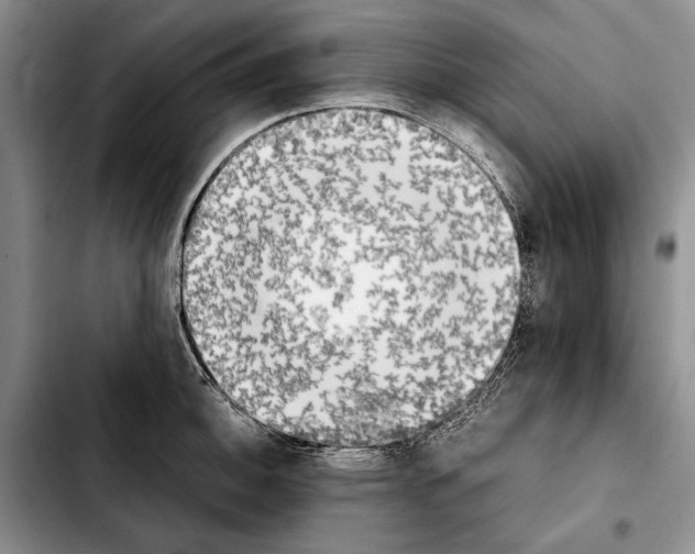 X0000103901140200810101239