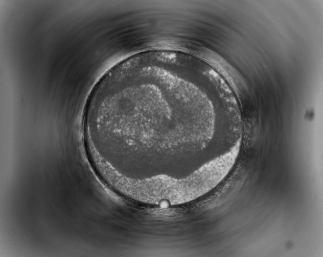 X0000103901141200810101239