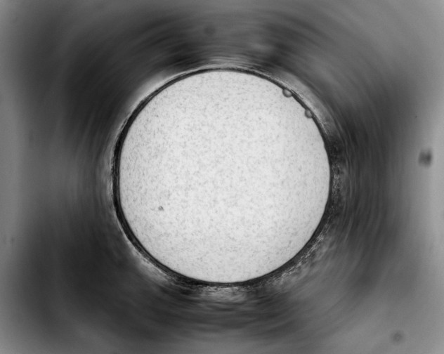 X0000103901143200810101239